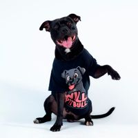 CAMISETA PRETA - WILL PITBULL