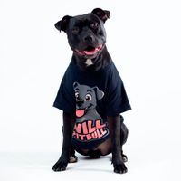 CAMISETA OVERSIZED PRETA - WILL PITBULL