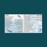 CD YUN LI - 13 LENTES DE UM FINAL FELIZ