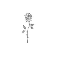 CAMISETA OFF WHITE - ROSES ARE RED