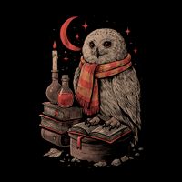 CAMISETA PRETA - MYSTIC OWL