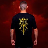 CAMISETA PRETA - PALADINO