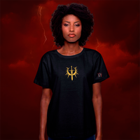 CAMISETA PRETA - PALADINO