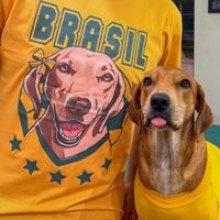 CAMISETA MOSTARDA - CLARINHA DO BRASIL