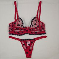 Foto do produto Conjunto Vermelho em Tule Bordado com Corações | Sutiã com Aro Sem Bojo