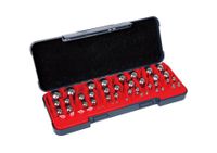 Foto do produto Par de Esferas Calibradas de Aço INSIZE Ø14mm - 4168-14