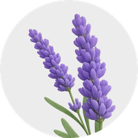 AROMÁTICAS