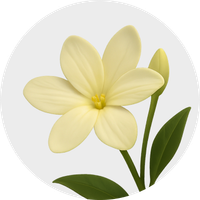 FLORAIS