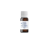 Foto do produto Fill Canal Cimento Endodôntico Líquido (10ml) KIT C/2 UNI 