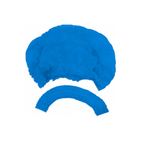 Foto do produto TOUCA EM TNT DESCARTÁVEL AZUL C/ ELASTICO (100 UNIDADES) - SOFT