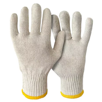 Foto do produto Luva Tricotada (kit 10 Pares) Cru C.A. 31919 - Plastcor