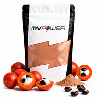 Foto do produto Guaraná Em Pó (500g) - MV Power