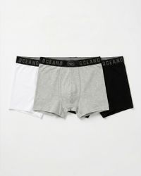 KIT CUECA OCEANO BOXER CORES