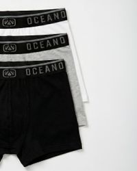 KIT CUECA OCEANO BOXER CORES