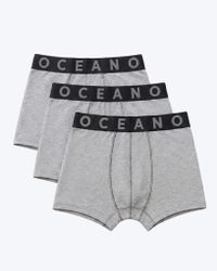 KIT 3 CUECA BOXER MESCLA OCEANO