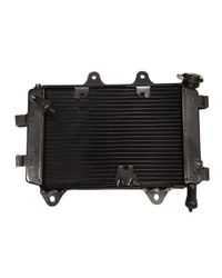 Foto do produto Radiador Bajaj Dominar 400 Original