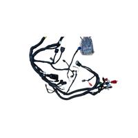 Foto do produto Chicote Completo Bajaj Dominar 400 2025