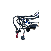 Foto do produto Chicote Completo Bajaj Pulsar NS200 Original