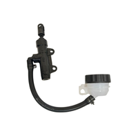 Foto do produto Cilindro Mestre Traseiro Bajaj Dominar 200 24-25 Original