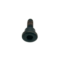 Foto do produto Parafuso Fixador do Guia Corrente de Comando Bajaj Original