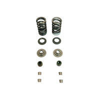Foto do produto Kit de Reparação da Válvula Bajaj Dominar NS 160 Original