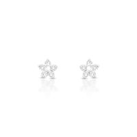 Foto do produto BRINCO DE PRATA PAVE FLOR COM 10 ZIRCONES CRAVEJADOS 20923
