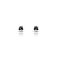 Foto do produto BRINCO DE PRATA PAVE REDONDO COM 16 ZIRCONES CRAVEJADOS 22136