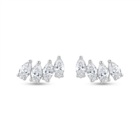 Foto do produto BRINCO DE PRATA PAVE NAVETES 501489