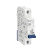 Foto do produto MINIDISJUNTOR TERMOMAGNETICO MDW P-C6A-1 POLO 400VCA/250VCC
