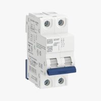 Foto do produto MINIDISJUNTOR TERMOMAGNETICO MDW P-C25A-2 POLOS 400VCA/250VCC