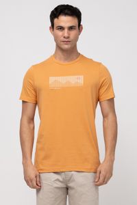 Foto do produto CAMISA BÁSICA ADULTO ASPEN