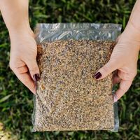 Foto do produto REFIL 500g MIX DE SEMENTES (Enviamos para todo Brasil).