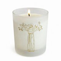 Foto do produto Vela São Francisco de Assis - Lime & Mandarim 210g