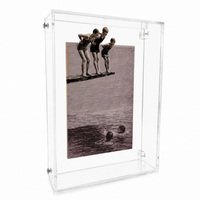 Foto do produto Quadro de Acrílico - Trampolim - Greghi Design