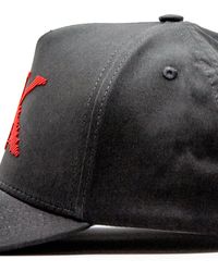 BONÉ TRUCKER BRAND BULKING