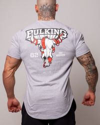 CAMISETA SKULL IRON WARRIOR MESCLA