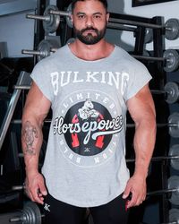 CAMISETA HORSEPOWER SUPERSTAR MESCLA