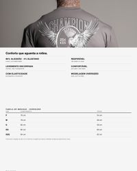 CAMISETA OVERSIZED FLY BREAK CINZA