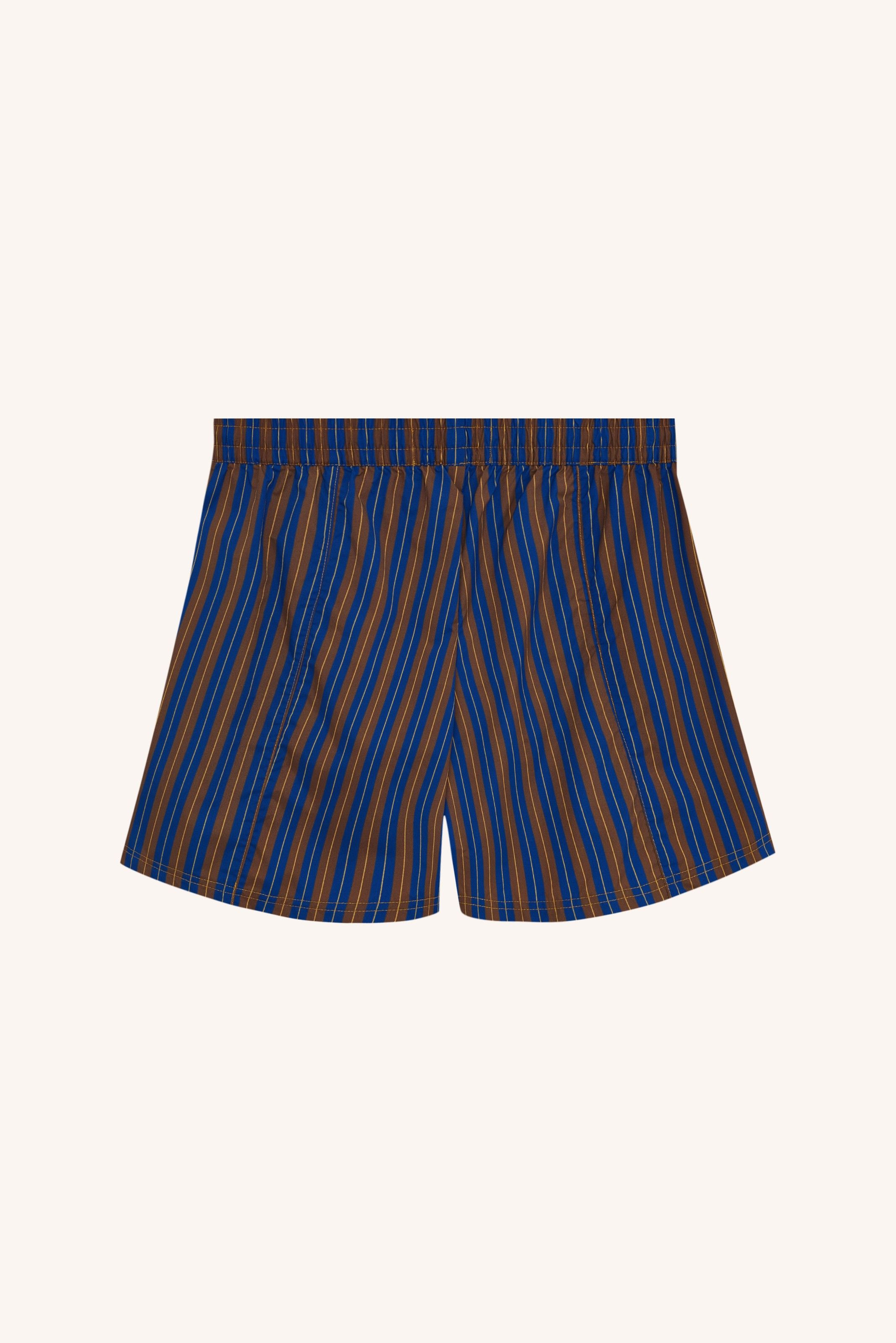 BERMUDA ÁGUA ESTAMPADA LISTRADO MARROM/AZUL | BROWN/BLUE STRIPED PRINTED WATER SHORTS