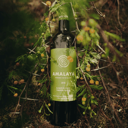 Amalaya Blanco 2021 (750ml)