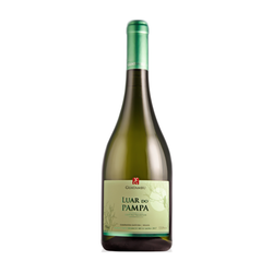 Guatambu Luar do Pampa Gewurztraminer 2021 (750ml)