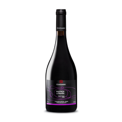 Guatambu Rastros do Pampa Pinot Noir 2016 (750ml)