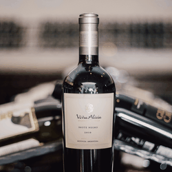 Viña Alicia Brote Negro Malbec 2013 (750ml)