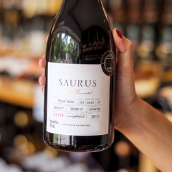 Familia Schroeder Saurus Barrel Fermented Pinot Noir 2020 (750ml)