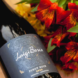 Luigi Bosca Pinot Noir 2020 (750ml)