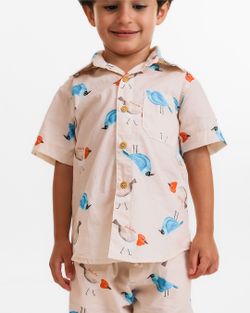 Camisa Infantil Menino  Pássaros