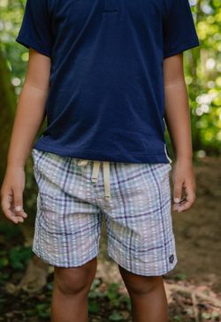 Conjunto Infantil Menino Camisa Polo e Bermuda Xadrez Azul