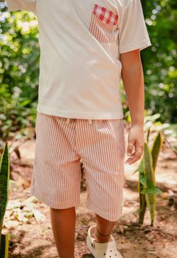 Conjunto Infantil Menino Camiseta e Bermuda Listrado Vermelho