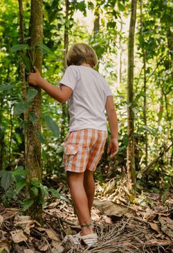 Conjunto Infantil Menino Camiseta e Short Xadrez Vichy Laranja