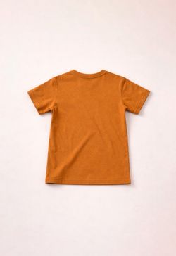 Camiseta Infantil Menino Básica Caramelo